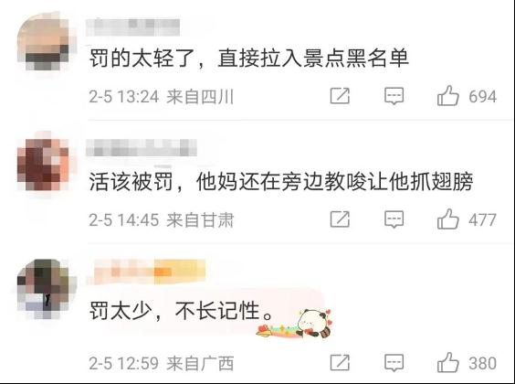 抓海鸥的被罚2000，摔孔雀的口头教育！网友：“为啥不罚款？”