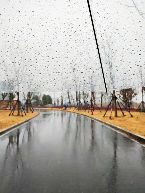 来了，荆州的第一场春雨！