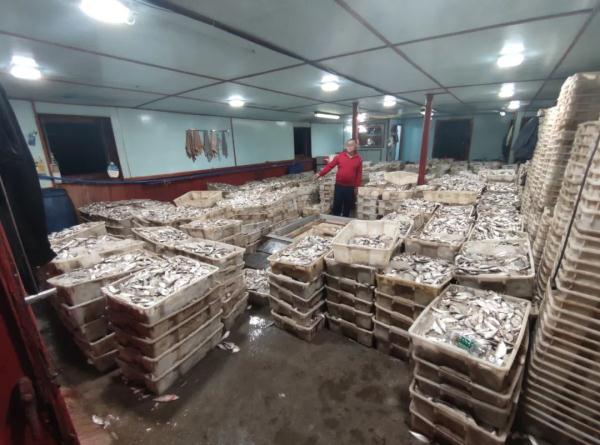 涉案人员30名、渔获物约6.7万斤!儋州海警局查获3艘非法捕捞渔船 涉案人员30名、渔获物约6.7万斤!儋州海警局查获3艘非法捕捞渔船