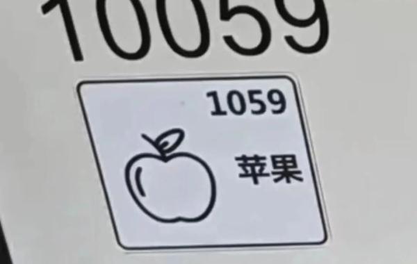 汉堡、原子核…上海地铁10号线的标识引网友"破译"!官方回复 汉堡、原子核…上海地铁10号线的标识引网友"破译"!官方回复