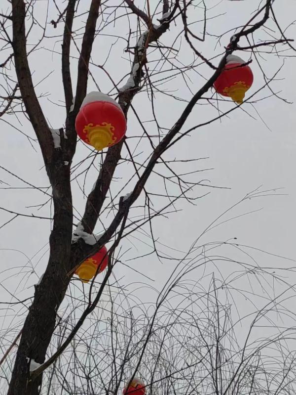 白雪不嫌春色晚，山西下雪啦！