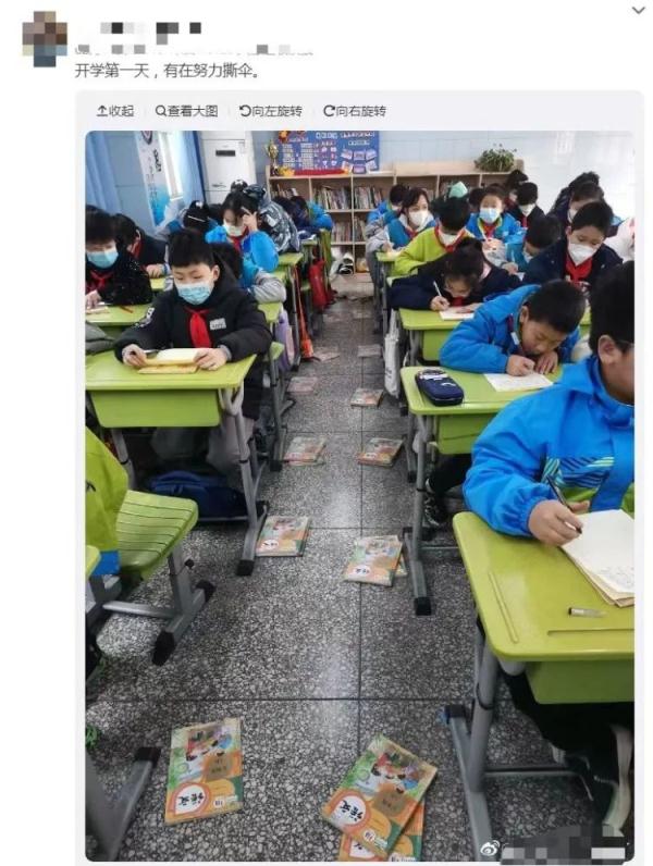 频频热搜，为什么总有年轻人热衷“撕伞”？