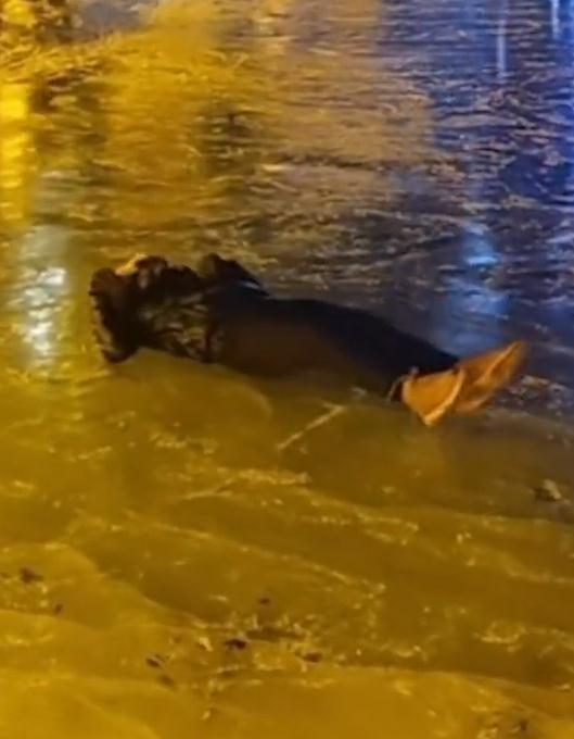 男子滑冰摔倒后脑勺着地去世？最新回应！