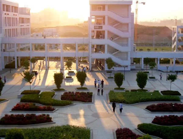 广西这中学可带宠物入学，校方最新回应！网友：这是什么神仙学校