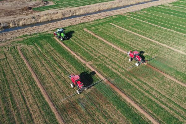 新华全媒+丨高标准农田里的“丰收密码”