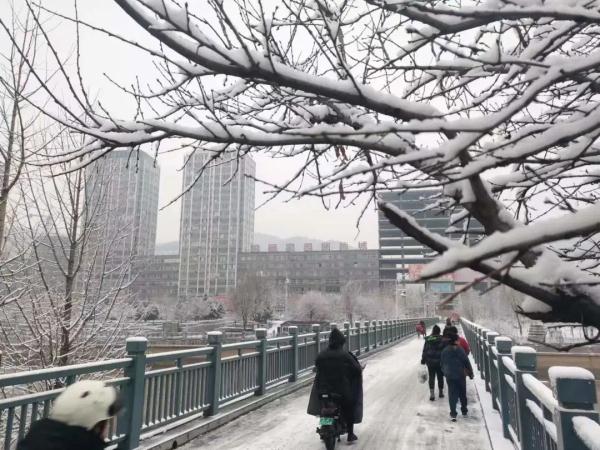 白雪不嫌春色晚，山西下雪啦！