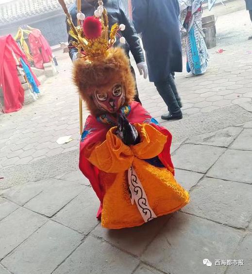 火爆全网！小“美猴王”找到啦！