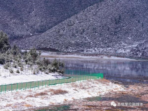 猝不及防！云南这个地方下雪了