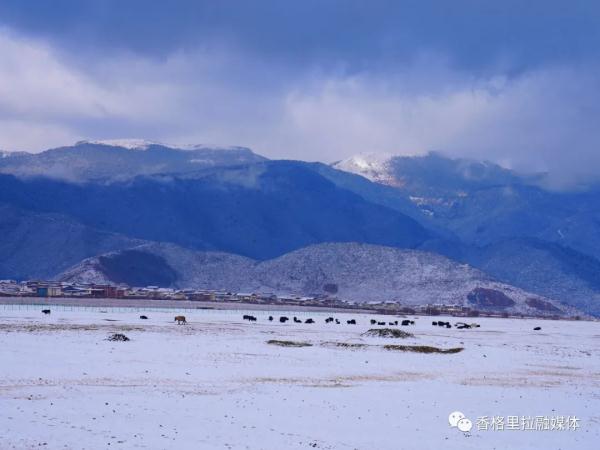 猝不及防！云南这个地方下雪了