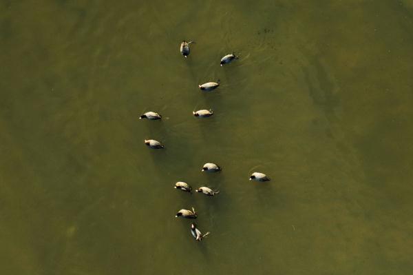 山东青岛：春潮涌动鸟翩跹