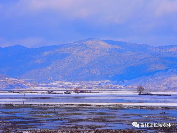 猝不及防！云南这个地方下雪了