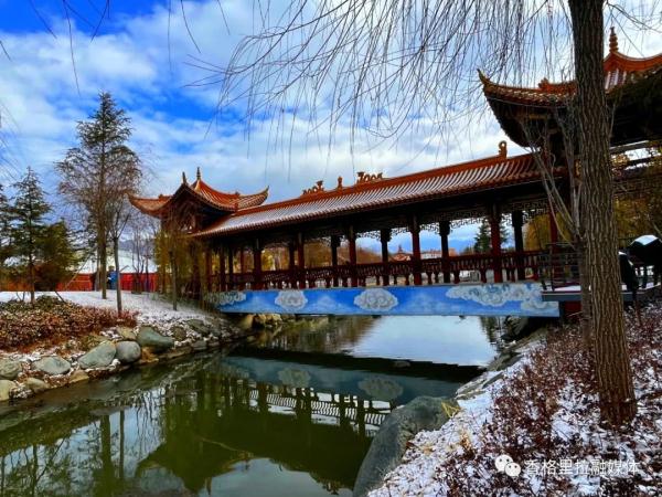 猝不及防！云南这个地方下雪了