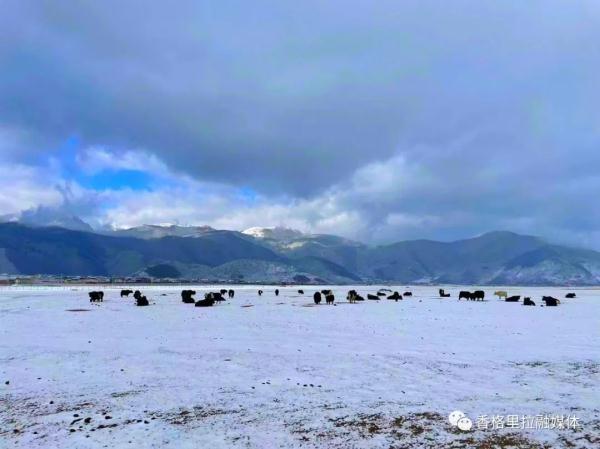 猝不及防！云南这个地方下雪了