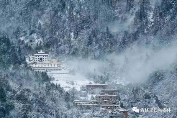 猝不及防！云南这个地方下雪了