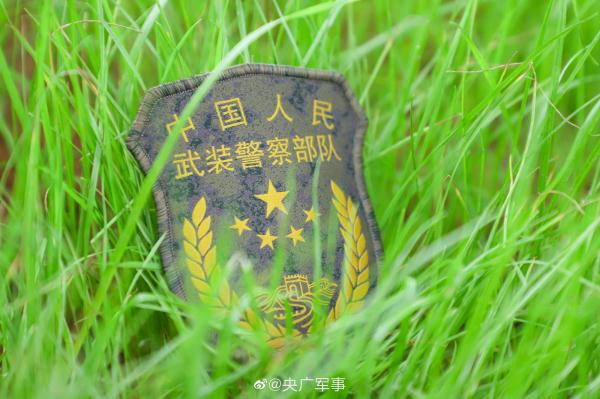 分享美图！早春的军营有多美