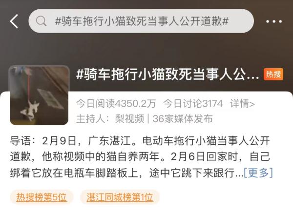 骑车拖行小猫致死当事人公开道歉：深感痛心，恳请原谅