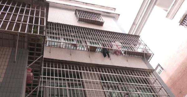 女子帮丈夫销毁毒狗药时中毒身亡？最新回应