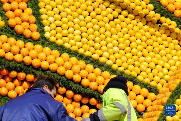 法国将举行第89届芒通柠檬节