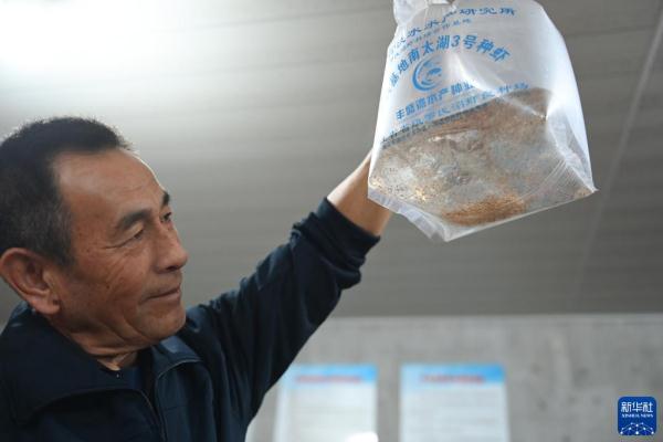 浙江湖州：虾苗销售忙