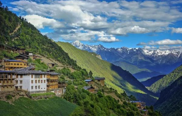 【健康科普】春季疏肝，居然伸个懒腰就可以了