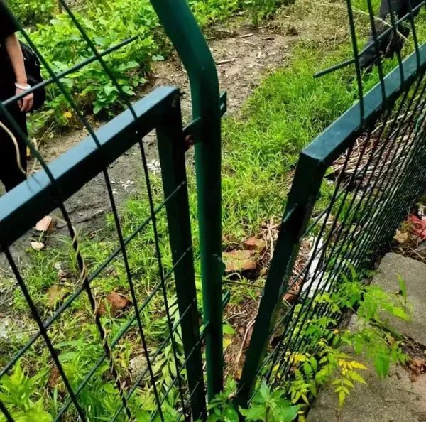 九旬老人横穿高速被撞身亡，公路管理部门要赔钱吗？