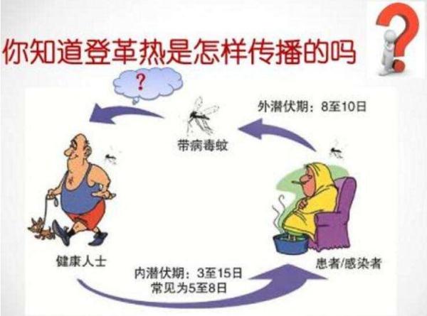 此地发现1例登革热输入病例！春节期间曾去泰国旅游！