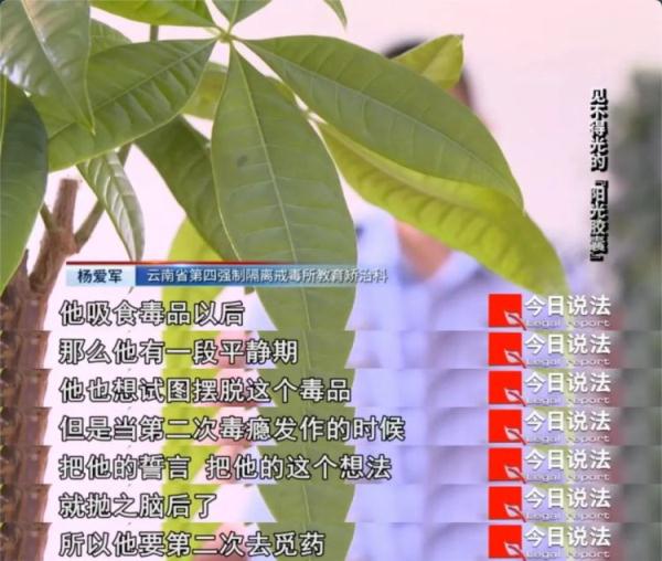 所谓的药是毒品？男子花上百万囤积高价贩卖，挨个推销给吸毒者