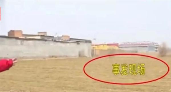 6旬夫妇遭5条恶犬围攻1死1伤！狗主人被拘留，知情人：两老人遍体鳞伤