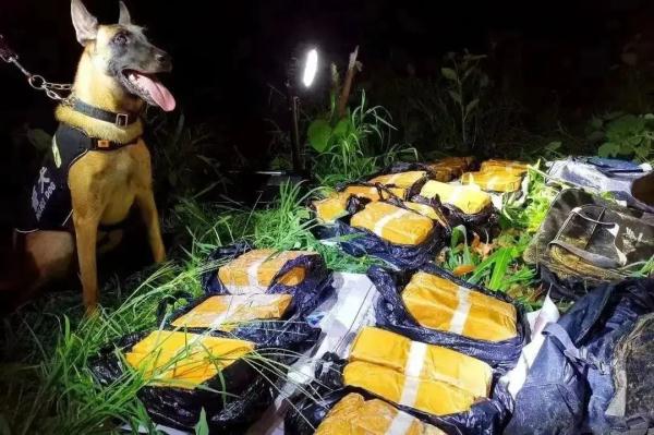 汪汪队又立大功! 汪汪队又立大功!