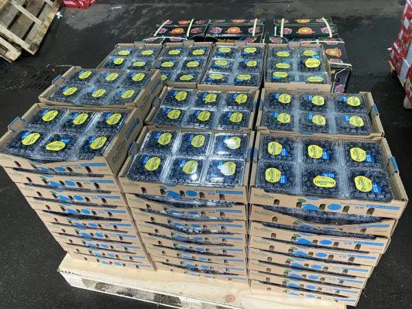 价格大跌!杭州有人一口气买了30多箱 价格大跌!杭州有人一口气买了30多箱