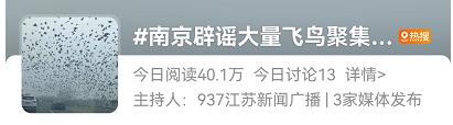 飞鸟聚集、撞树是地震前兆?专家回应 飞鸟聚集、撞树是地震前兆?专家回应
