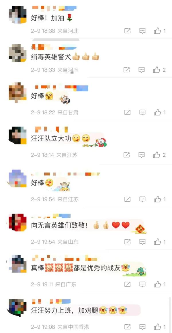 汪汪队又立大功! 汪汪队又立大功!