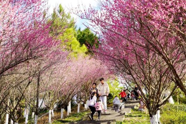 25℃？隔天换季！明天冷空气将影响浙江，还有中到大雨...