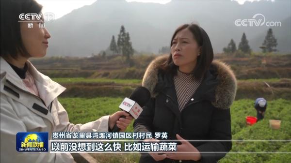 【一线调研】“飞”出大山的豌豆尖