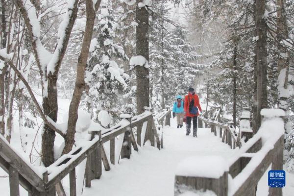 雪乡迎降雪 游客兴致浓