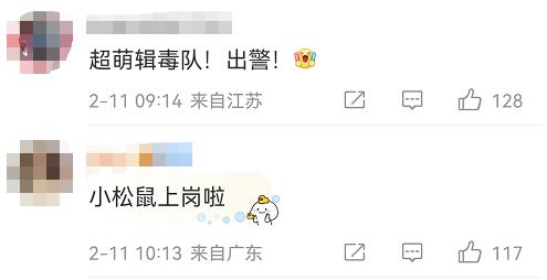 你没看错,松鼠们也要出警了 你没看错,松鼠们也要出警了