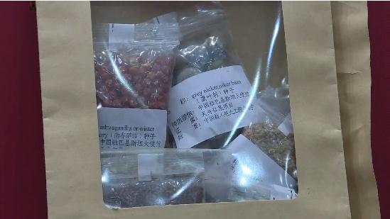 中国航天员“隔空”鼓励巴基斯坦女孩：愿你心怀山海，眼有星辰