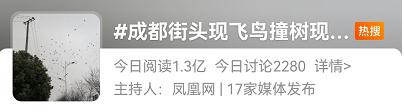 飞鸟聚集、撞树是地震前兆?专家回应 飞鸟聚集、撞树是地震前兆?专家回应