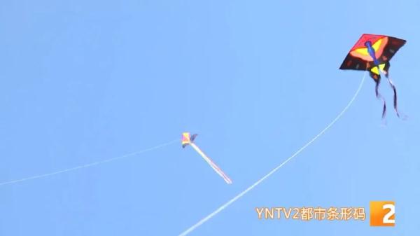 警惕这把“隐形刀”！风筝线威力有多大，这个实验告诉你