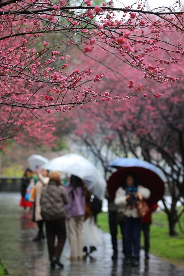 春雨润大地