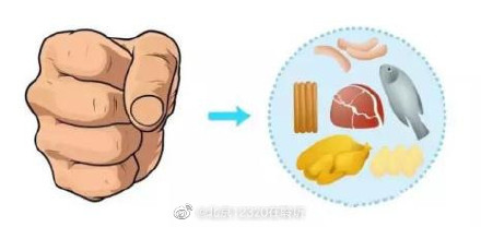 饮食参照“十个拳头”原则，你知道吗？