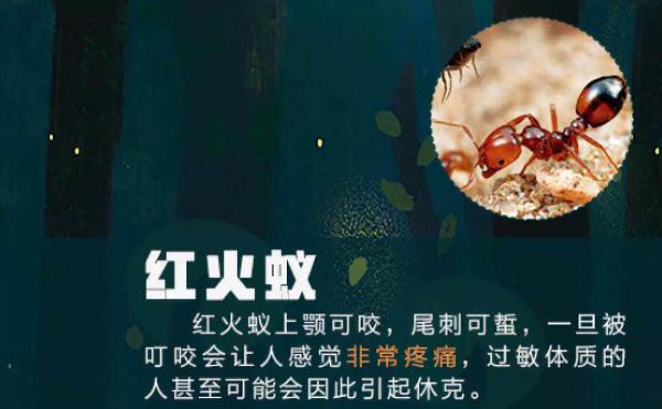 危险！福建又出现了！千万别碰！