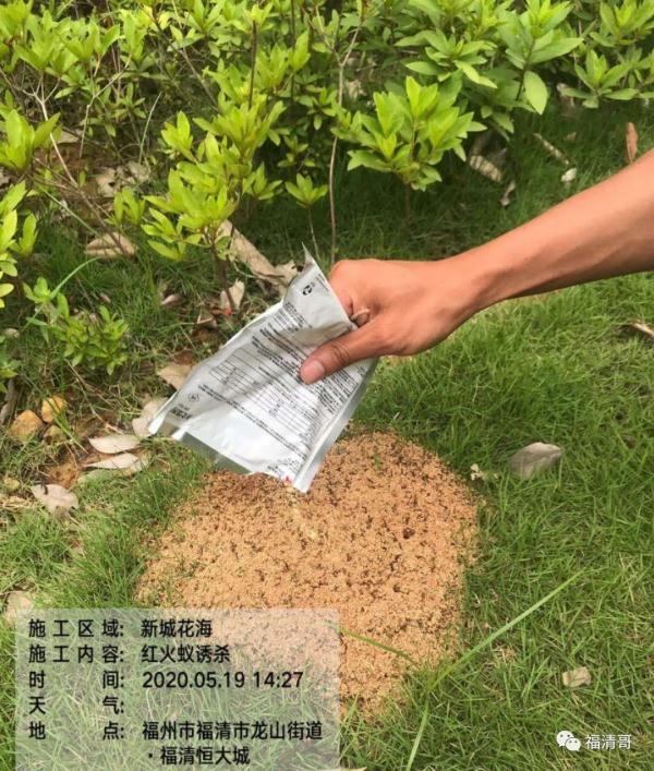 危险！福建又出现了！千万别碰！
