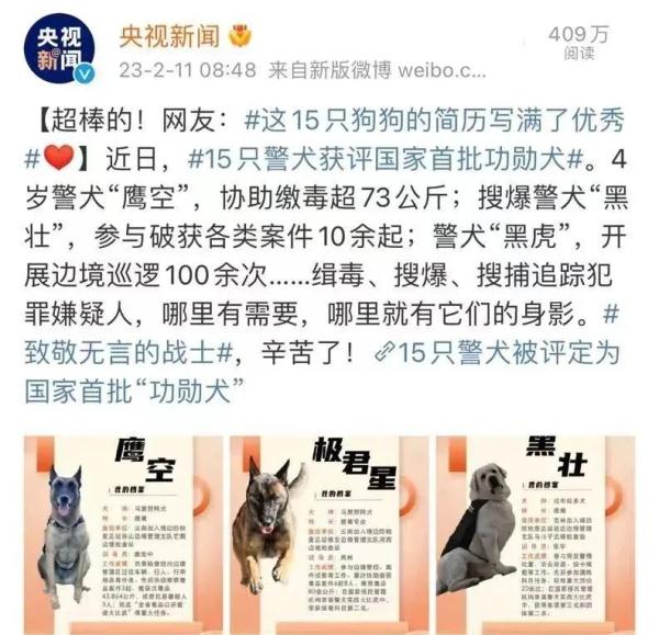 警犬迎来新同事！松鼠我啊，要立大功了！