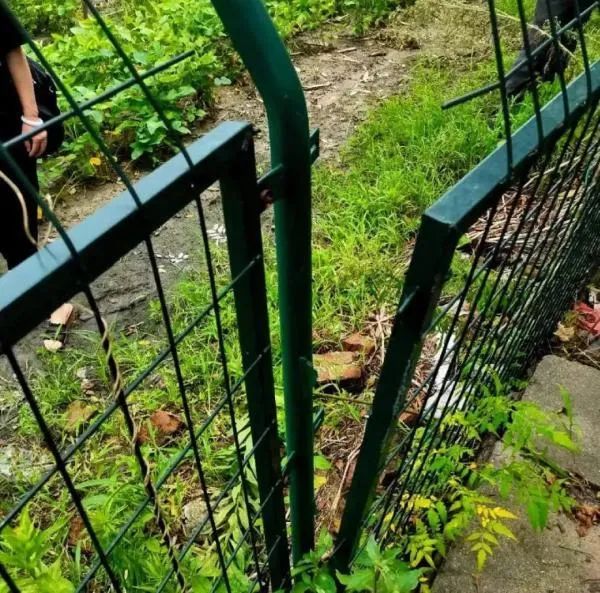 老人横穿高速被撞身亡，车主赔偿后，家属又把管理部门告了
