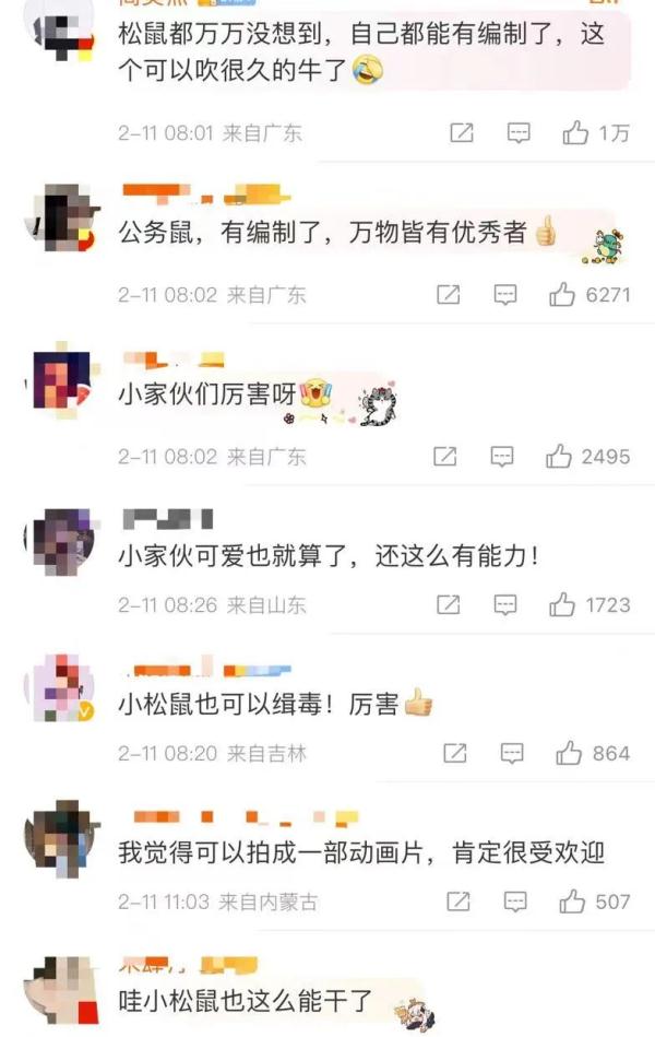 警犬迎来新同事！松鼠我啊，要立大功了！