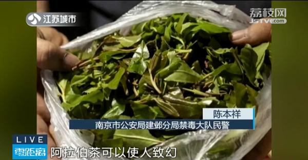 《狂飙》中出现毒品“奶茶”， 饮料型毒品须提防！