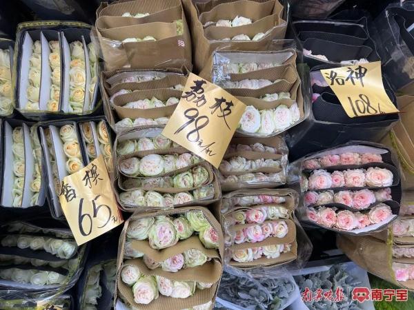 “2·14”将近,玫瑰花价格如何?记者实探南宁七星路一巷花市 “2·14”将近,玫瑰花价格如何?记者实探南宁七星路一巷花市