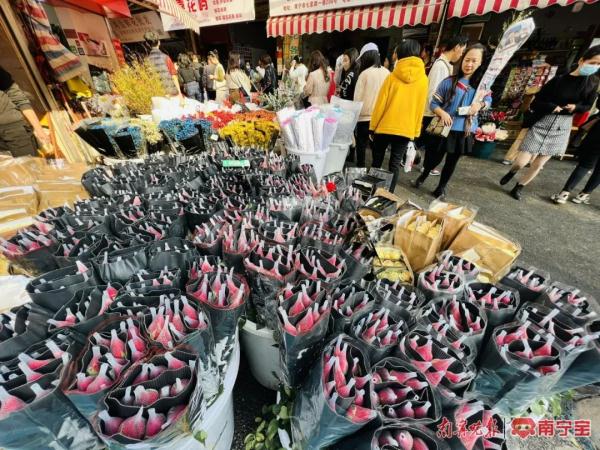 “2·14”将近,玫瑰花价格如何?记者实探南宁七星路一巷花市 “2·14”将近,玫瑰花价格如何?记者实探南宁七星路一巷花市