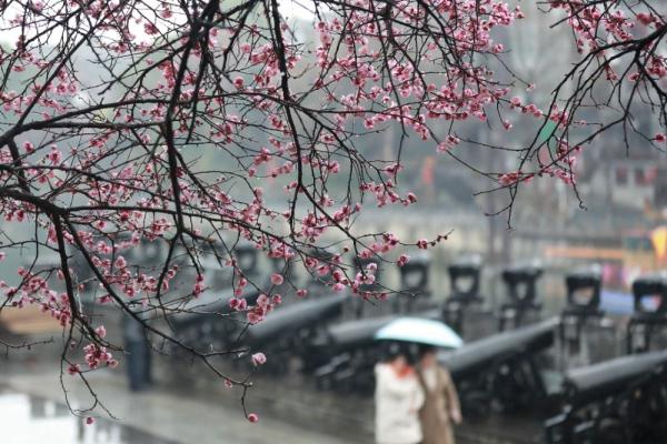 春雨润大地